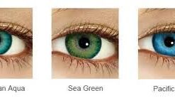 FreshLook-Dimensions-2pcs